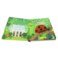 Usborne Peep Inside The Garden